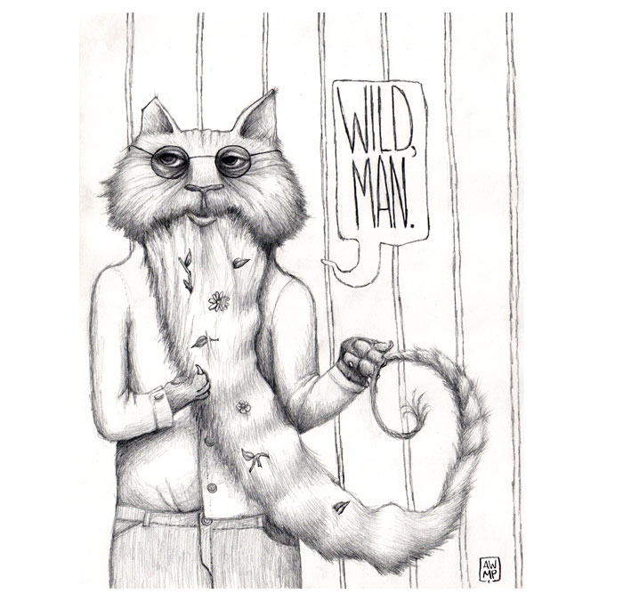 Wild cat, graphite, Anne Pennypacker